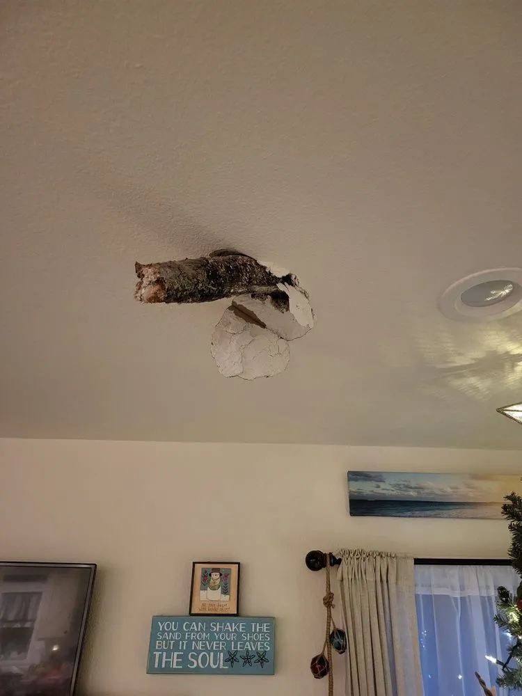 Professional yard cleanup service for homes across Shelton, WA - Green Leaves Trees Services and Landscaping