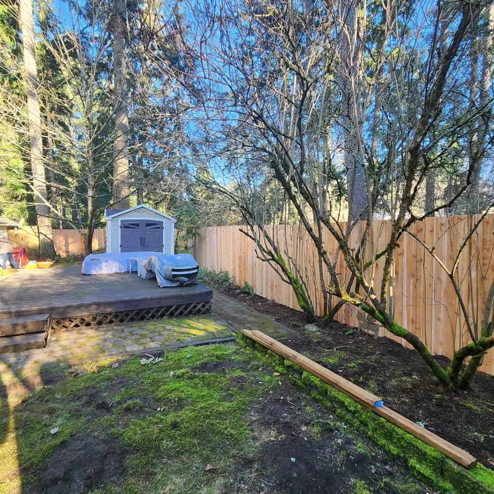 Expert yard maintenance in Shelton, WA - Green Leaves Trees Services and Landscaping
