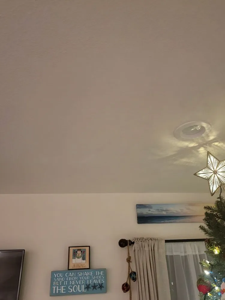 Professional yard cleanup service for year-round maintenance in Shelton, WA by Green Leaves Trees Services and Landscaping