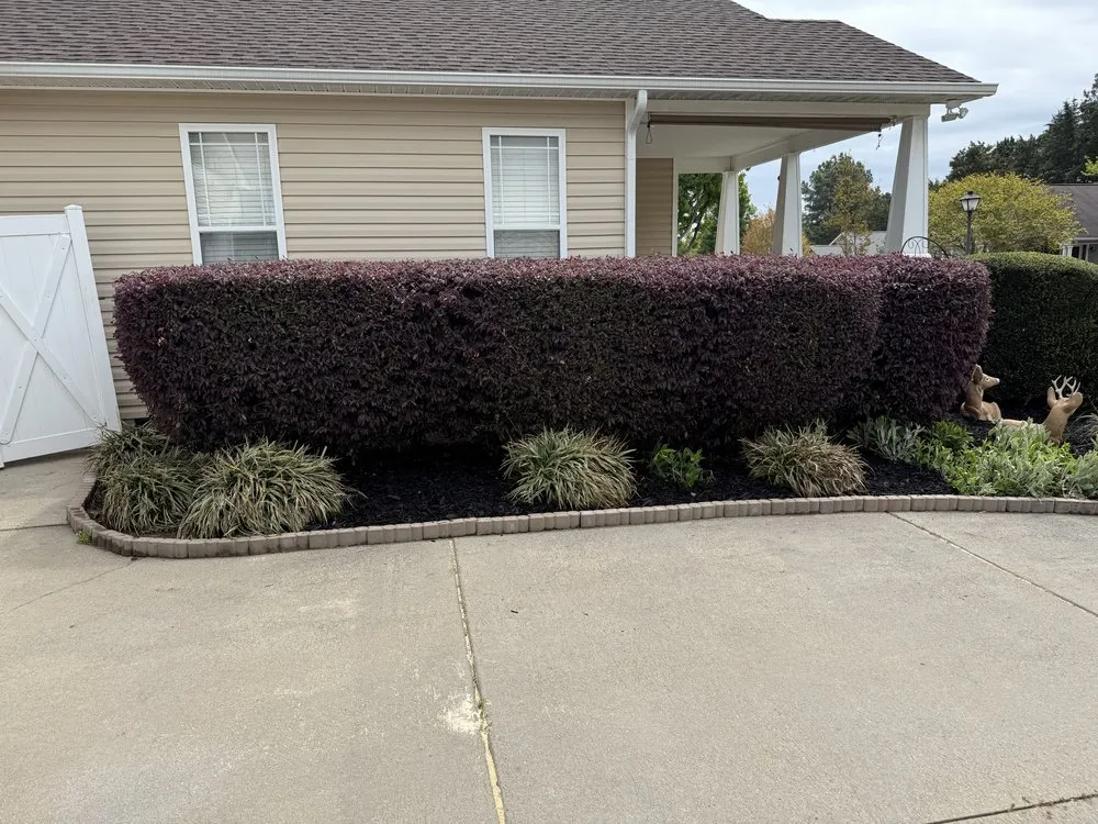 Professional landscaping services experts serving Salisbury, NC - Green Legacy