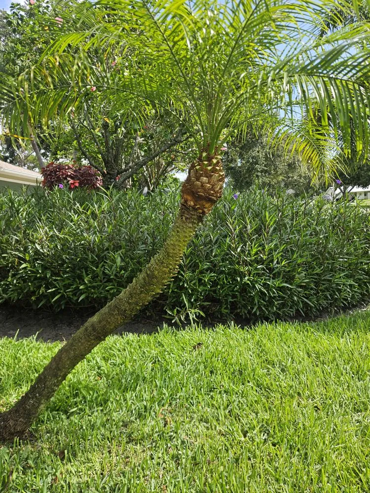Trusted lawn mowing service in Vero Beach, FL by Green Legend Lawn and Landscape