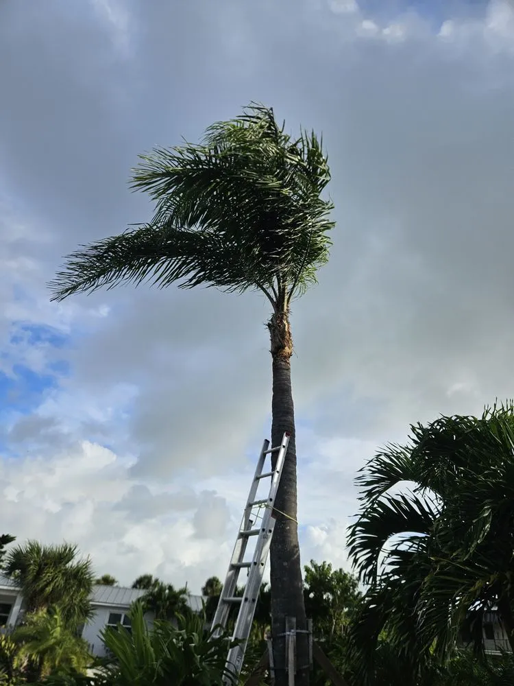 Reliable lawn mowing service in Vero Beach, FL - Green Legend Lawn and Landscape