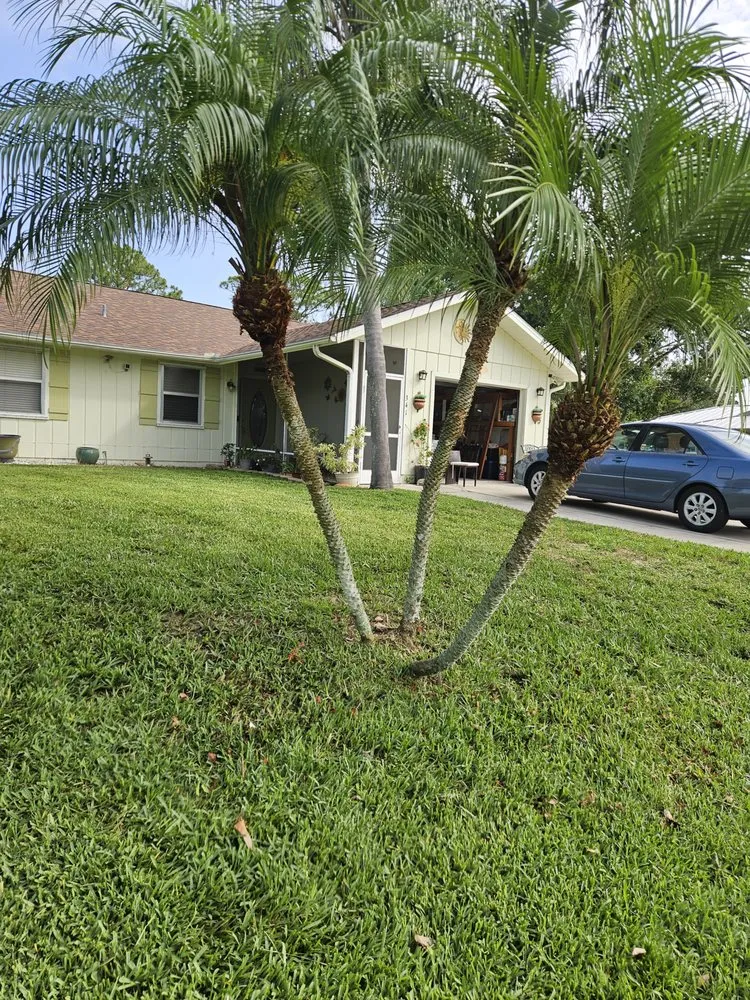 Trusted lawn mowing service in Vero Beach, FL - Green Legend Lawn and Landscape