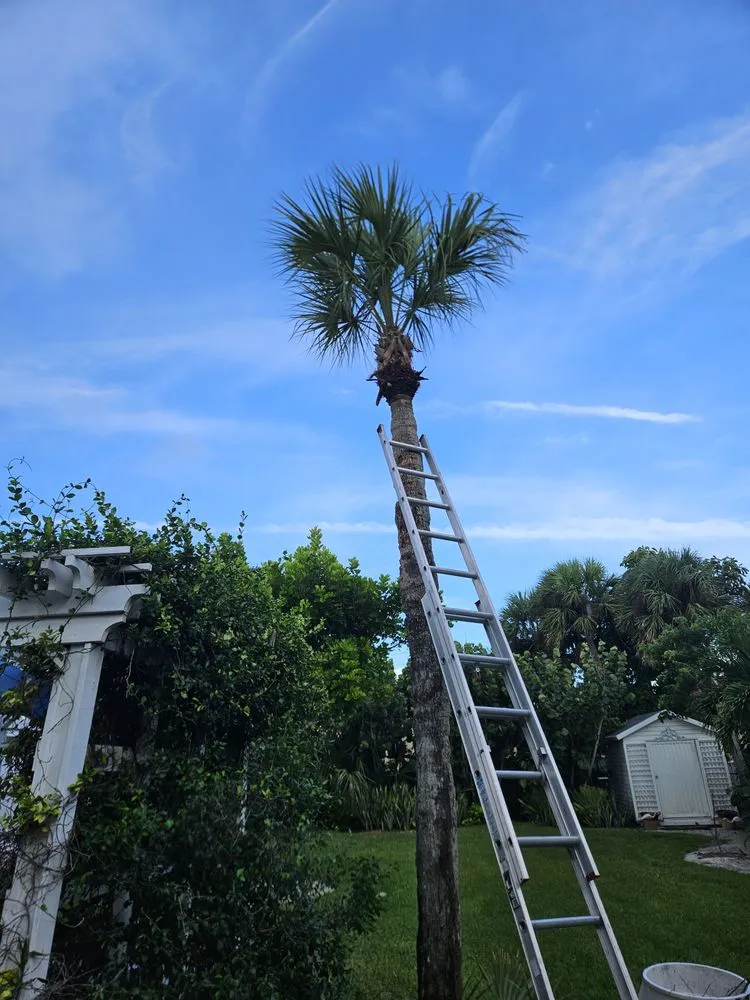 Reliable outdoor landscaping experts serving Vero Beach, FL - Green Legend Lawn and Landscape