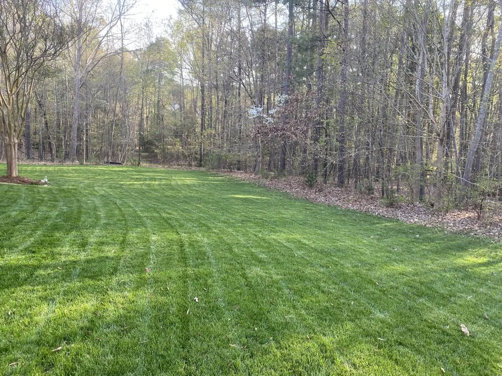 Custom yard maintenance for outdoor upgrades across Apex, NC - Green Level Landscape