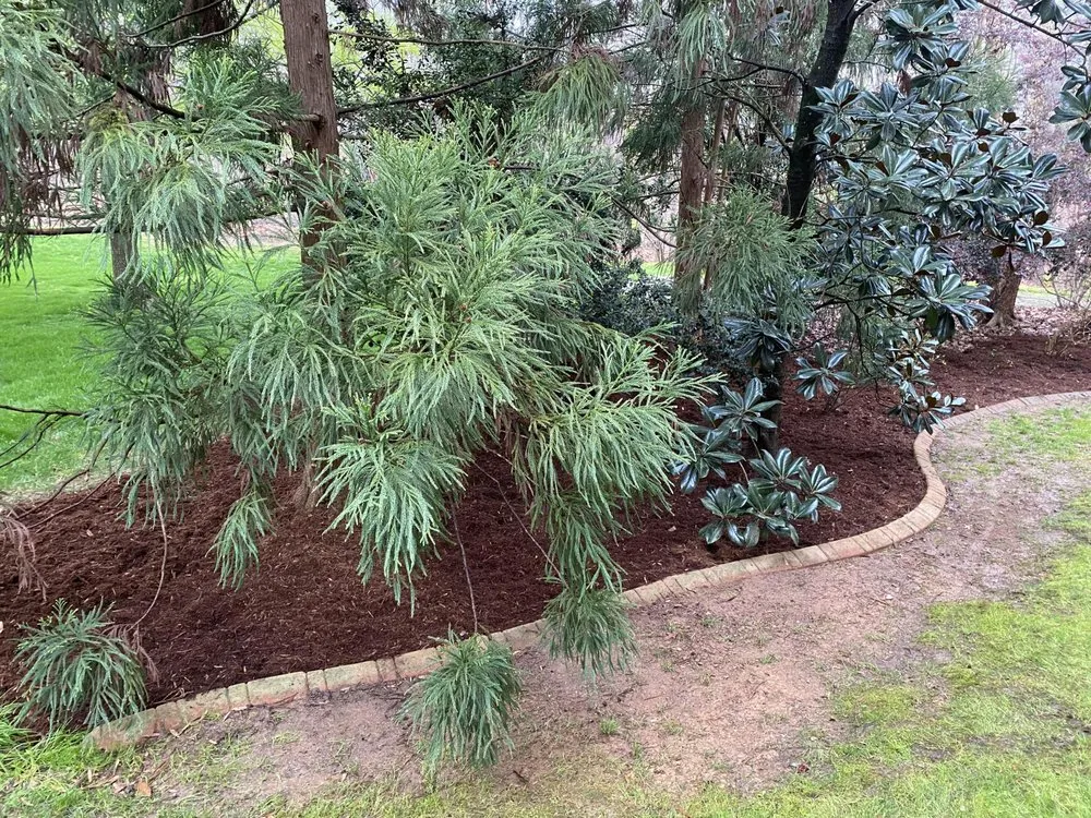 Professional landscaping services in Apex, NC by Green Level Landscape