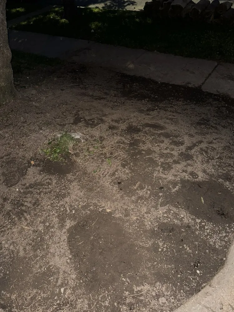 Trusted lawn care service in Saint Louis, MO - Green Libra