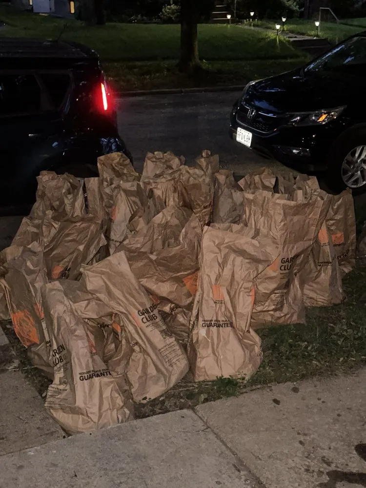 Reliable outdoor landscaping for outdoor upgrades across Saint Louis, MO - Green Libra