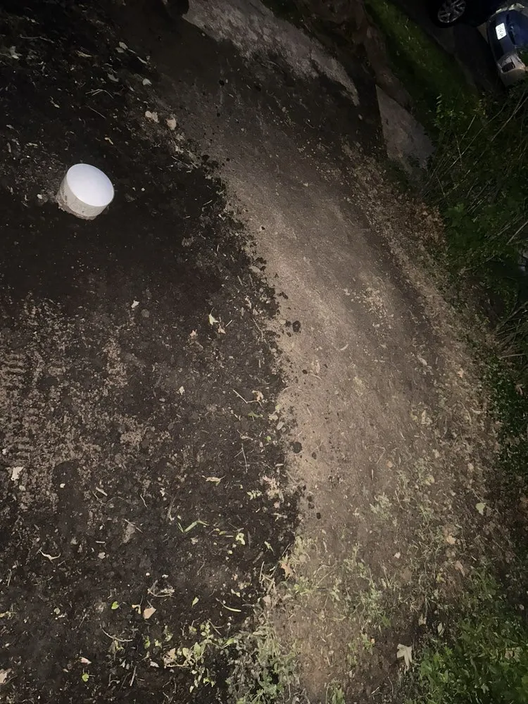 Affordable landscape installation for beautiful yards in Saint Louis, MO by Green Libra