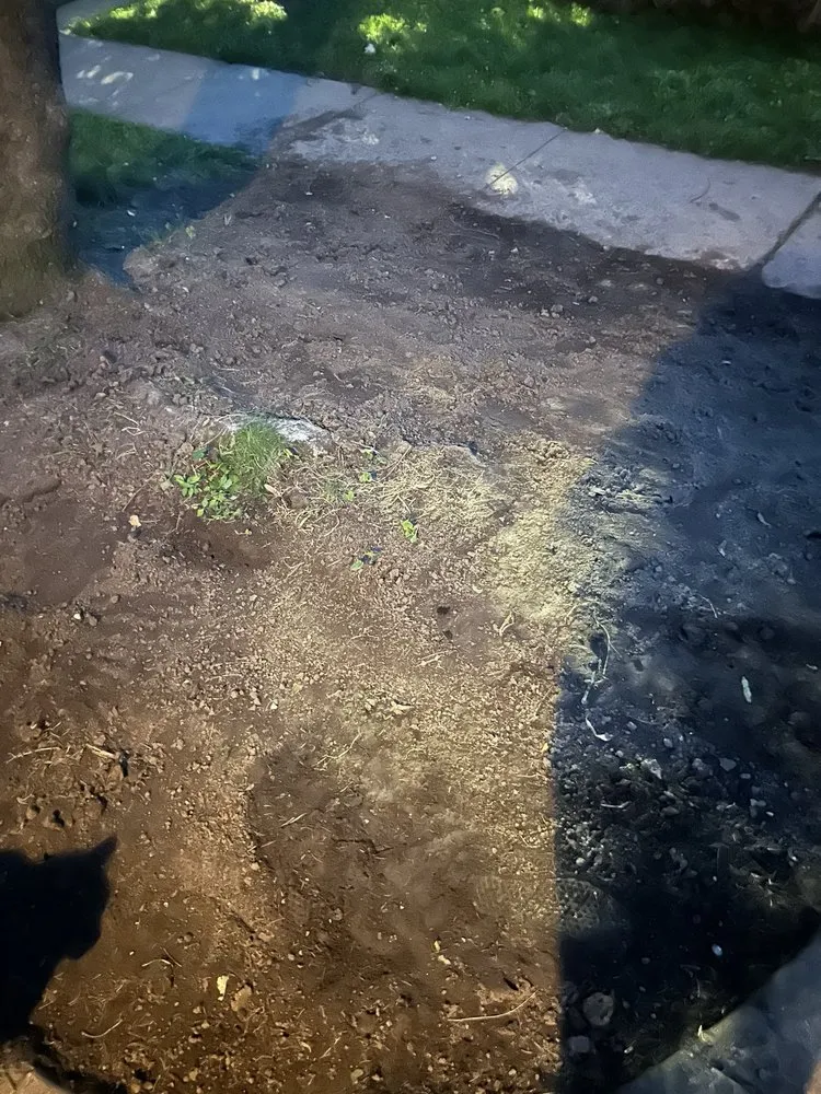 Affordable lawn mowing service with custom design in Saint Louis, MO by Green Libra