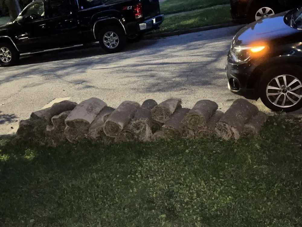 Custom yard cleanup service experts serving Saint Louis, MO - Green Libra