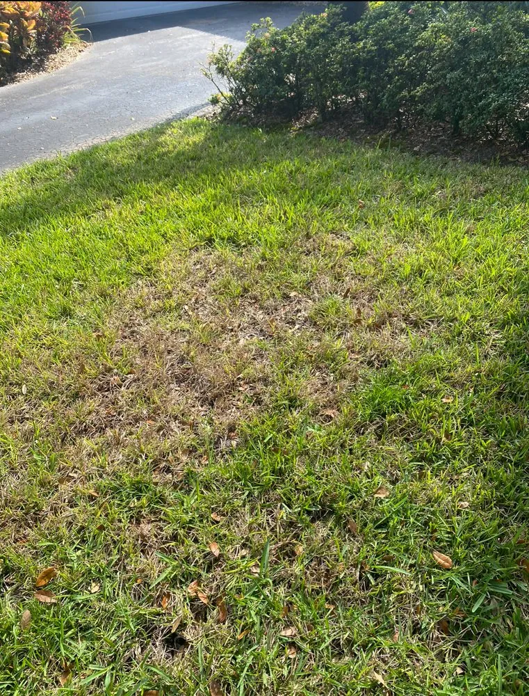 Trusted residential landscaping with custom design across Coral Springs, FL - Green Life