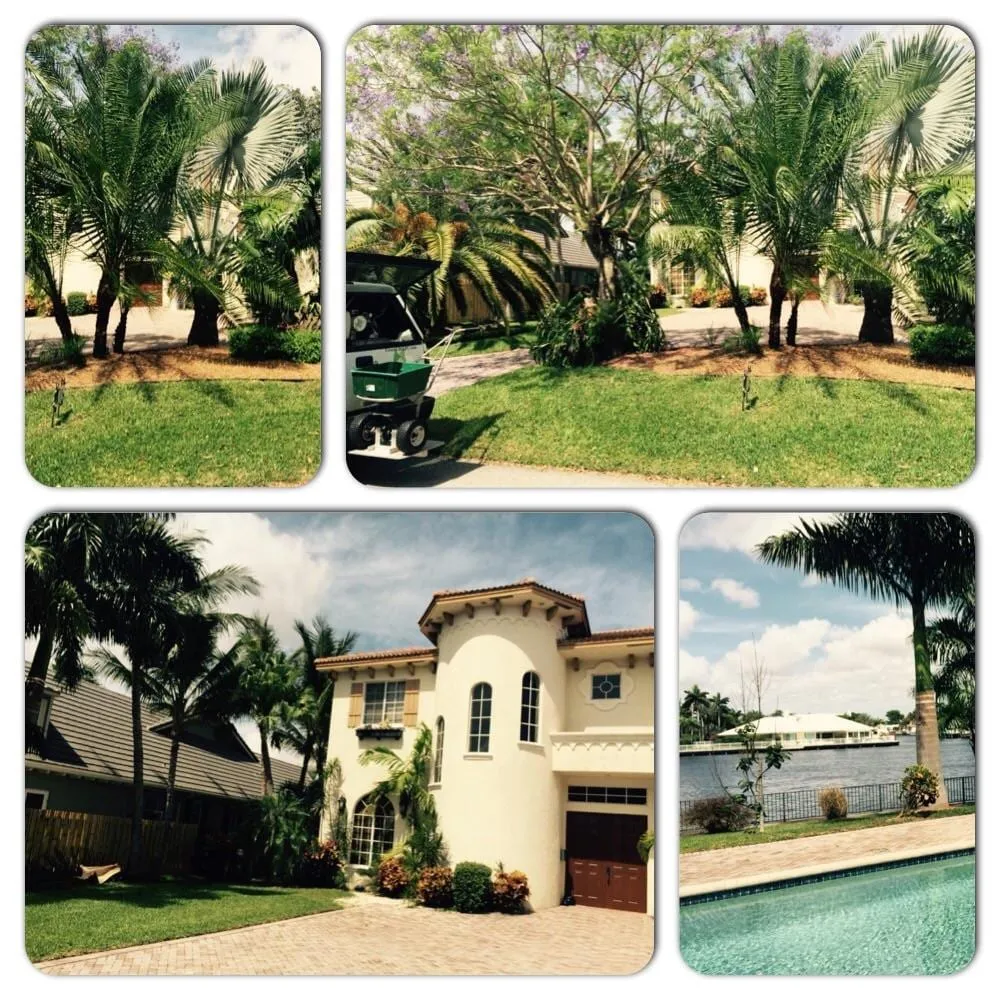 Affordable lawn mowing service experts serving Coral Springs, FL - Green Life