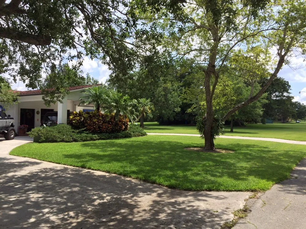 Reliable lawn mowing service experts serving Coral Springs, FL - Green Life