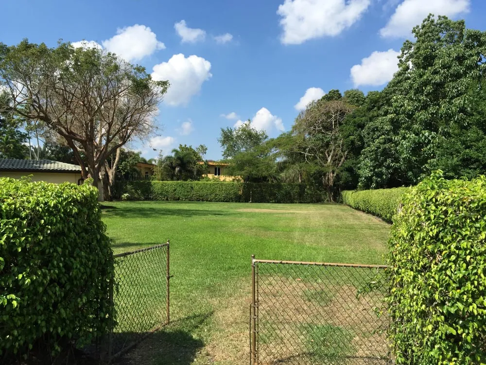 Custom landscaping services in Coral Springs, FL by Green Life
