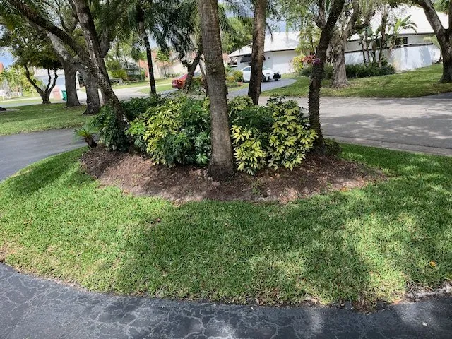 Top-rated outdoor landscaping experts serving Coral Springs, FL - Green Life