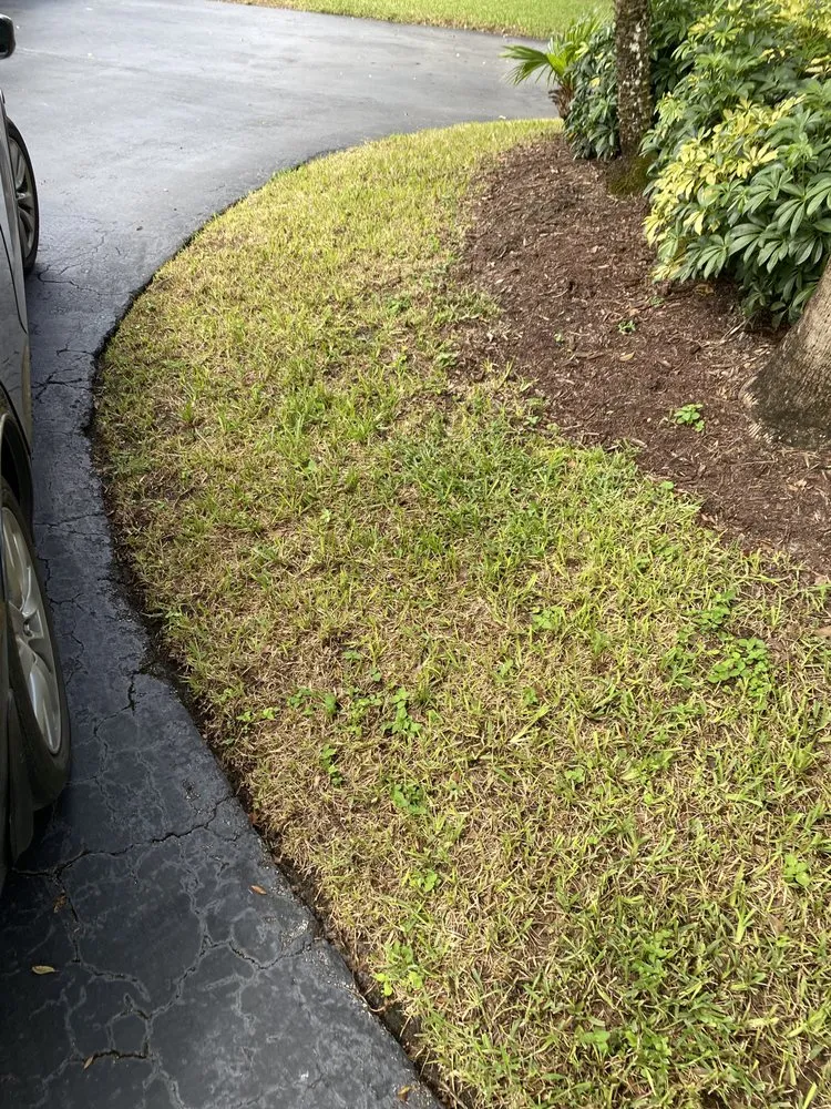 Custom lawn mowing service near you in Coral Springs, FL by Green Life