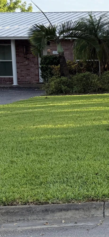 Expert landscaping services in Coral Springs, FL - Green Life