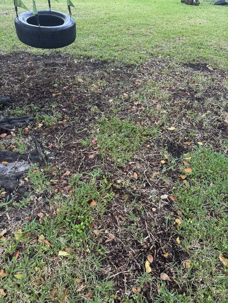 Top-rated residential landscaping near you across Coral Springs, FL - Green Life