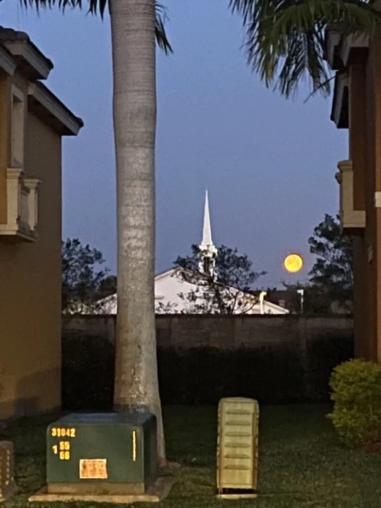 Trusted residential landscaping for outdoor upgrades in Estero, FL by Green Life Design & Maintenance