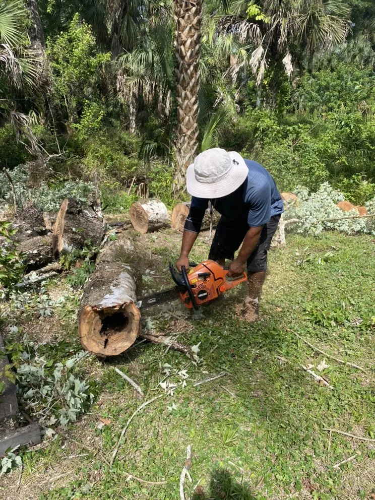 Trusted outdoor landscaping in Estero, FL by Green Life Design & Maintenance