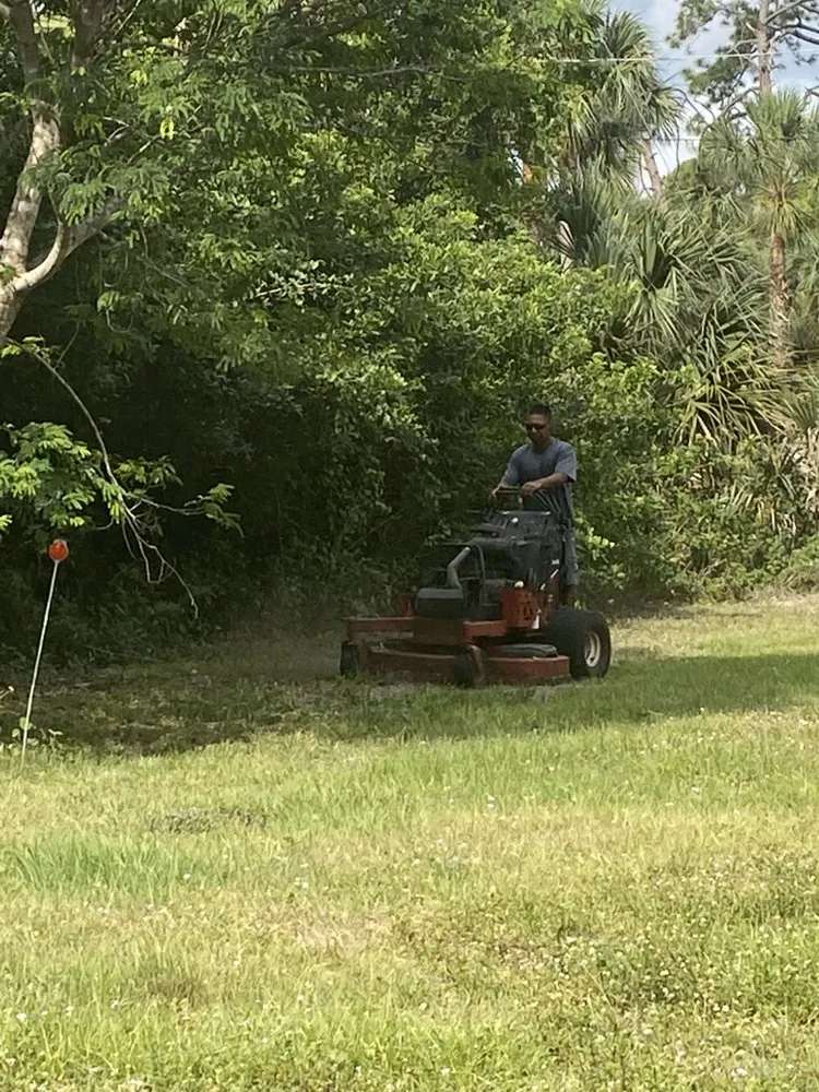 Trusted yard maintenance with custom design in Estero, FL by Green Life Design & Maintenance