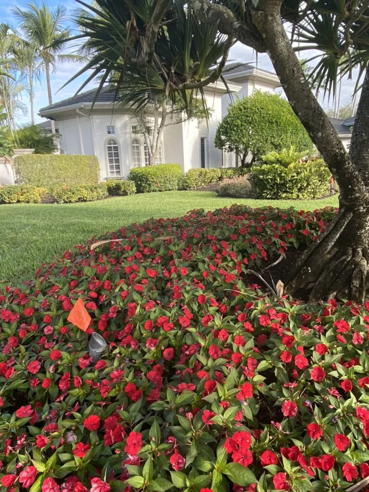 Expert outdoor landscaping for year-round maintenance in Estero, FL by Green Life Design & Maintenance