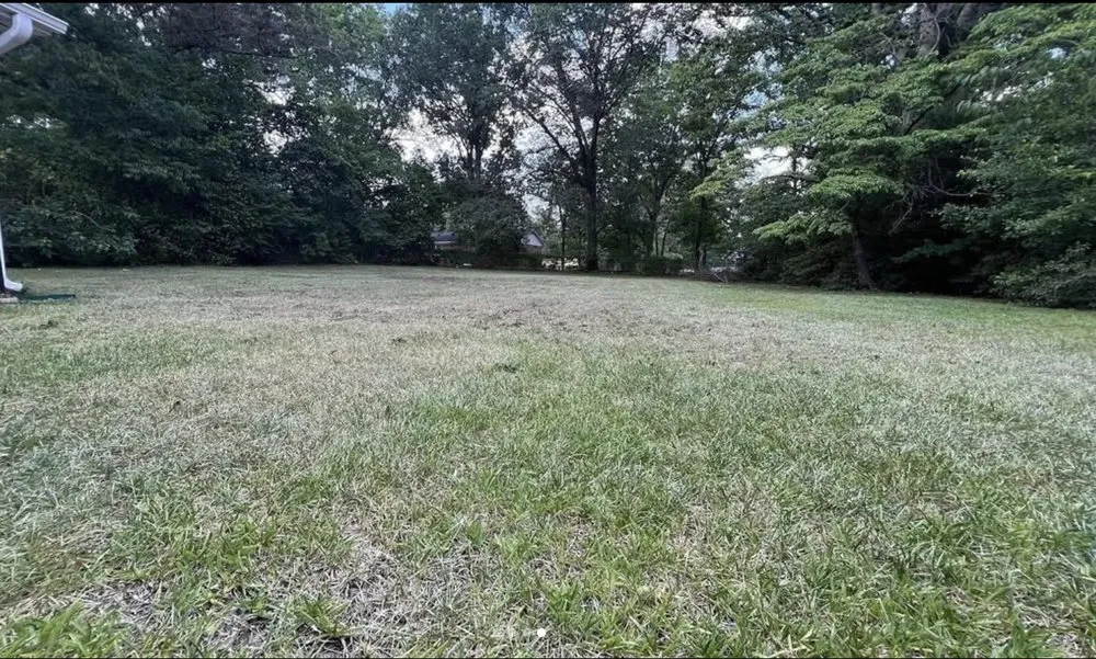 Custom landscape design experts serving Fayetteville, NC - Green LIfe