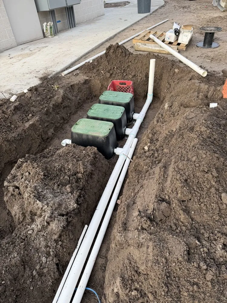 Custom yard cleanup service for beautiful yards in Jacksonville, FL by Green Life