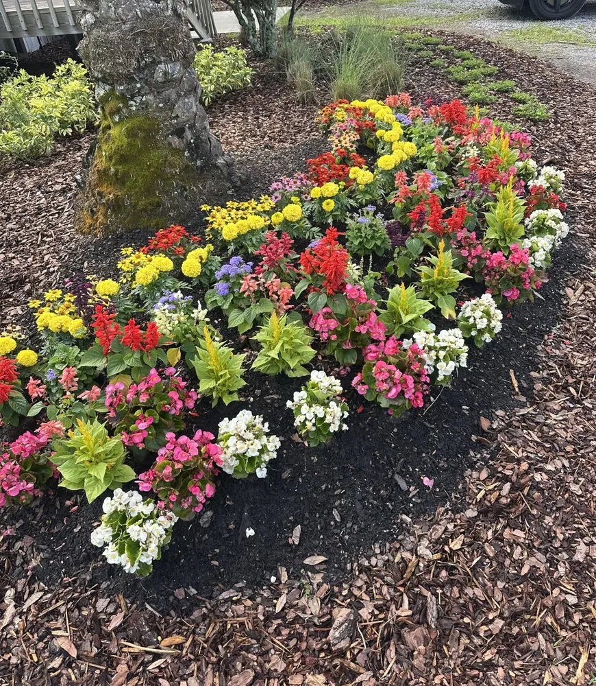 Local landscape design in Jacksonville, FL by Green Life