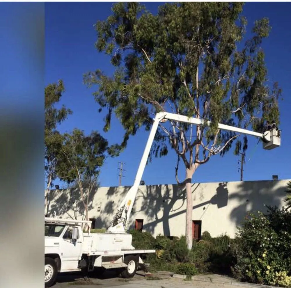 Top-rated garden landscaping for residential properties in La Puente, CA by Green Life Landscape