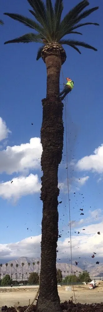 Custom lawn mowing service in La Puente, CA - Green Life Landscape