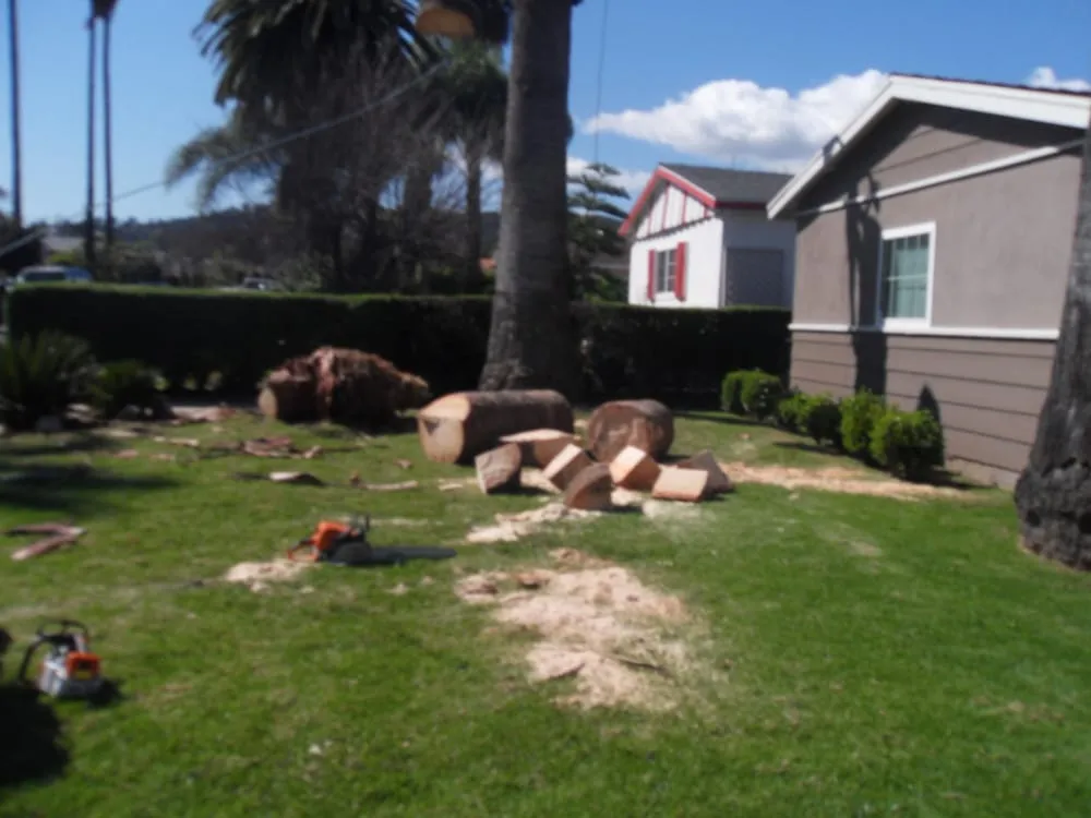 Reliable outdoor landscaping for homes in La Puente, CA by Green Life Landscape