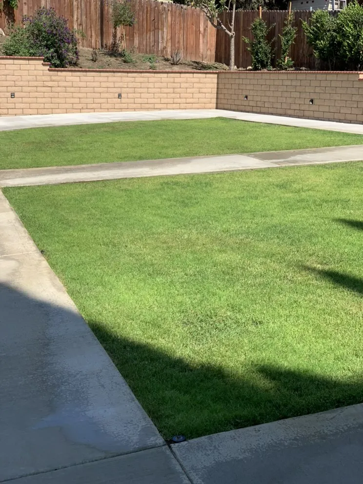 Top-rated yard maintenance experts serving La Puente, CA - Green Life Landscape