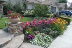 Affordable landscape installation in La Puente, CA - Green Life Landscape