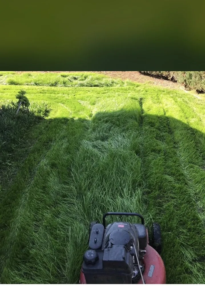 Reliable lawn care service for residential properties in La Puente, CA by Green Life Landscape