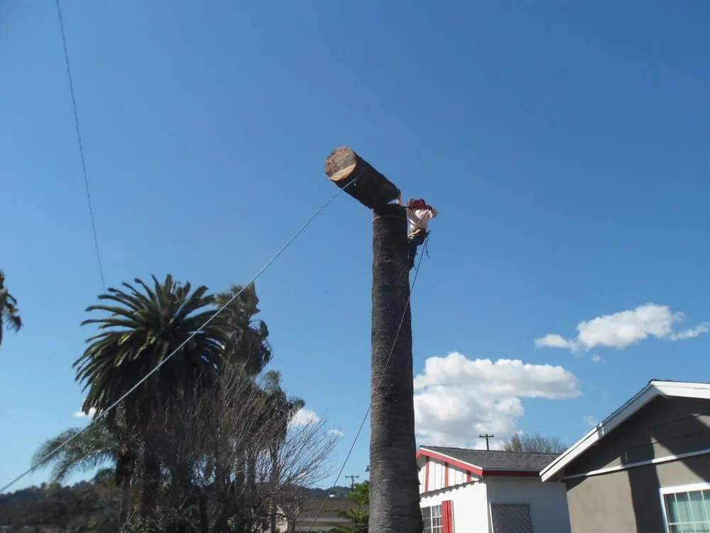 Professional yard maintenance experts serving La Puente, CA - Green Life Landscape