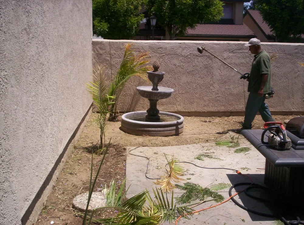 Expert yard cleanup service in La Puente, CA by Green Life Landscape
