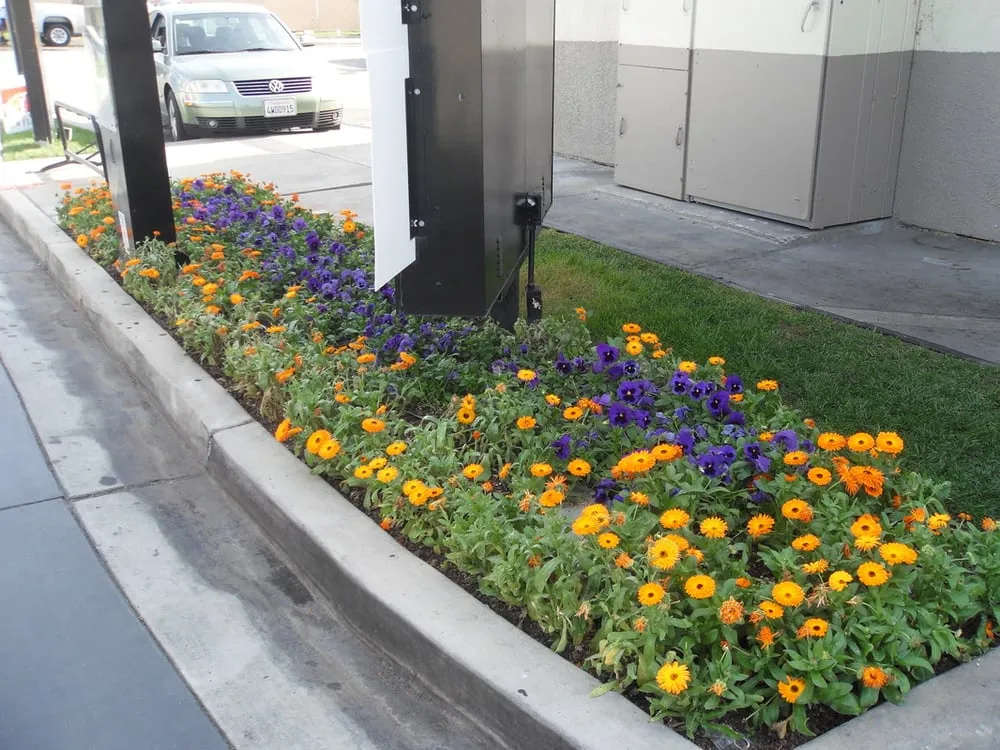 Local landscape design for residential properties in La Puente, CA by Green Life Landscape