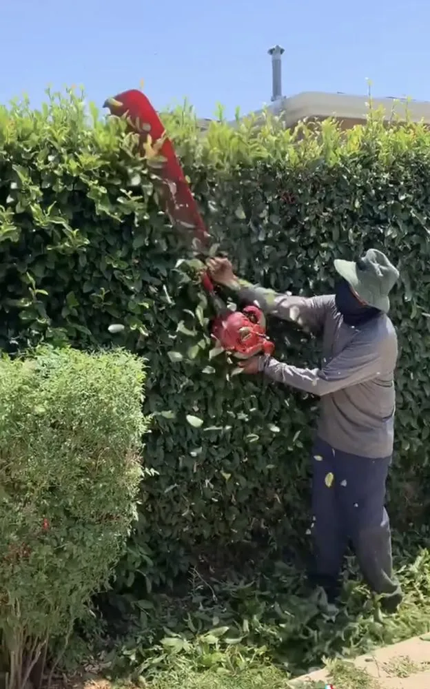 Trusted garden landscaping experts serving La Puente, CA - Green Life Landscape