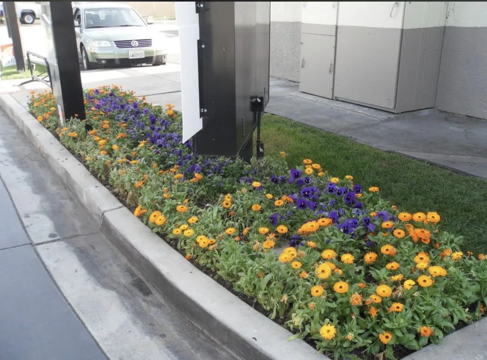 Top-rated landscape installation experts serving La Puente, CA - Green Life Landscape