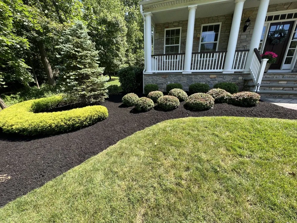 Custom yard cleanup service in Lansdowne, PA by Green Life landscape Services