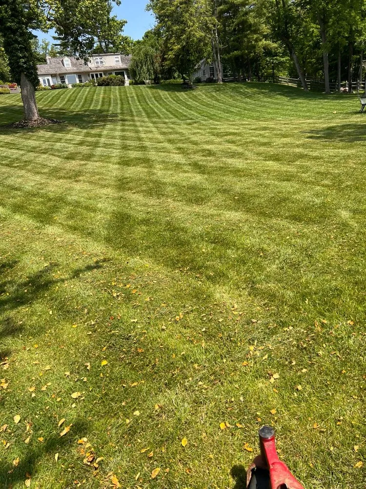 Top-rated residential landscaping for year-round maintenance across Lansdowne, PA - Green Life landscape Services