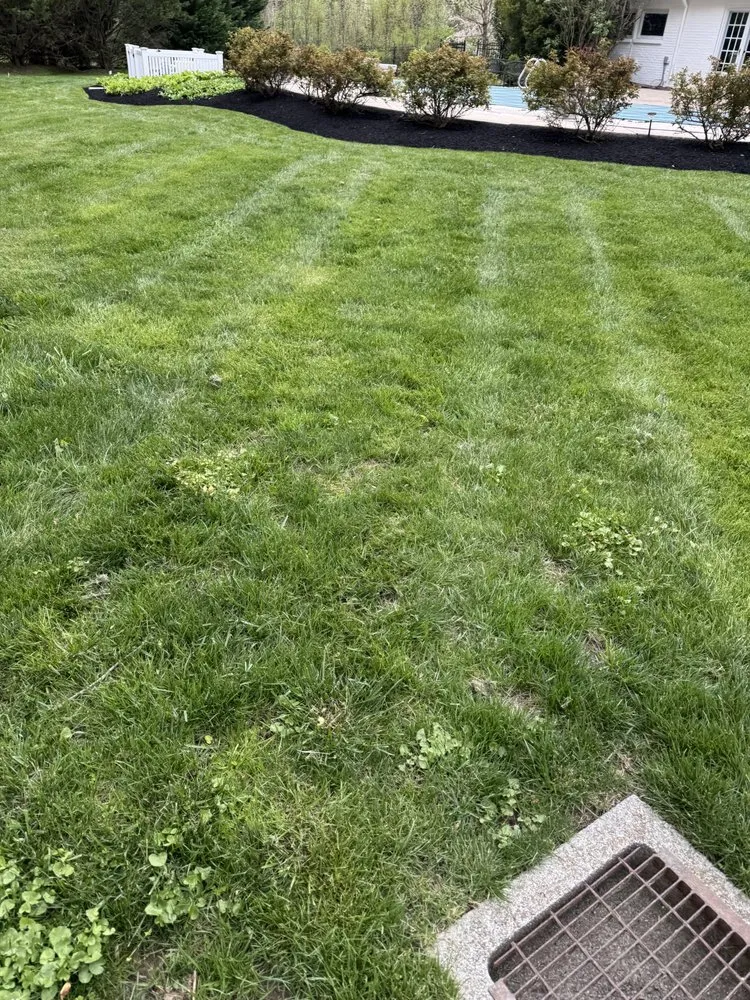 Expert garden landscaping in Lansdowne, PA by Green Life landscape Services