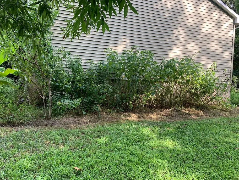 Affordable landscaping services near you across Bridgeton, NJ - Green Life Landscaping