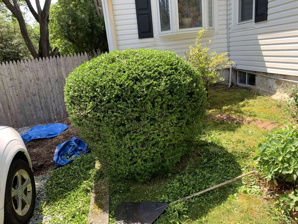 Custom landscape design for beautiful yards across Bridgeton, NJ - Green Life Landscaping