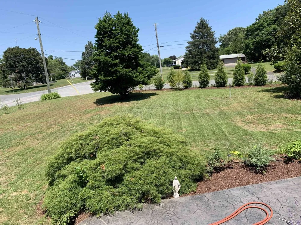 Expert lawn care service for residential properties across Bridgeton, NJ - Green Life Landscaping