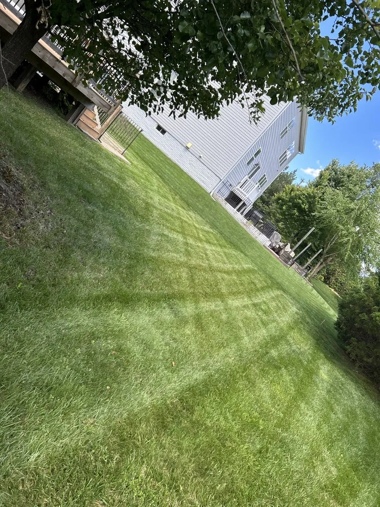 Top-rated lawn care service in Dale City, VA - Green life Landscaping