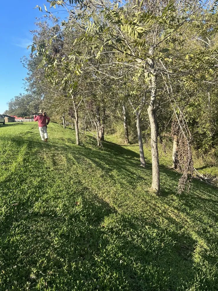 Custom outdoor landscaping for homes in Houston, TX by Green Life Landscaping