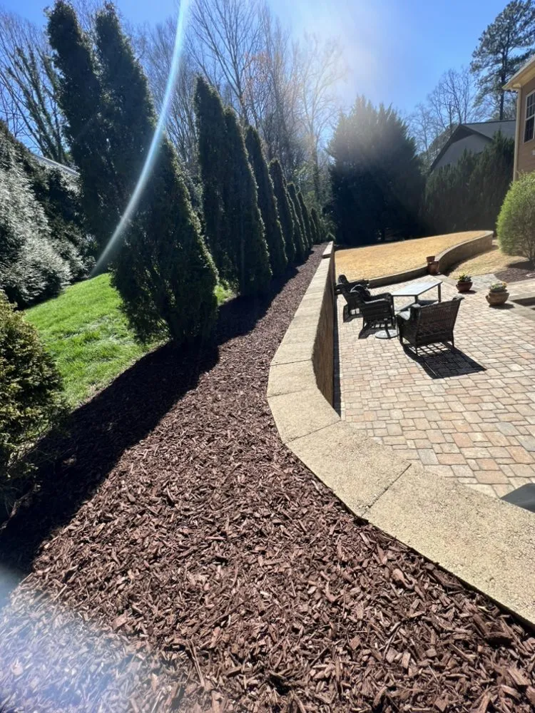 Custom yard maintenance experts serving Raleigh, NC - Green life landscaping